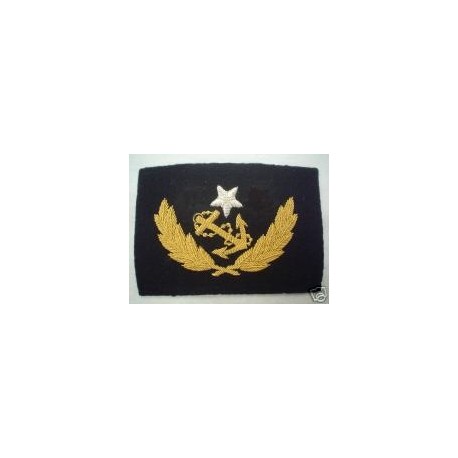 US Confederate Navy Lieutenant's Cap Badge