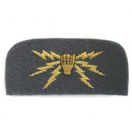 RAF Telecommunications Arm Badge