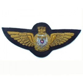 BRUNEI AIR FORCE FULL SIZE WINGS
