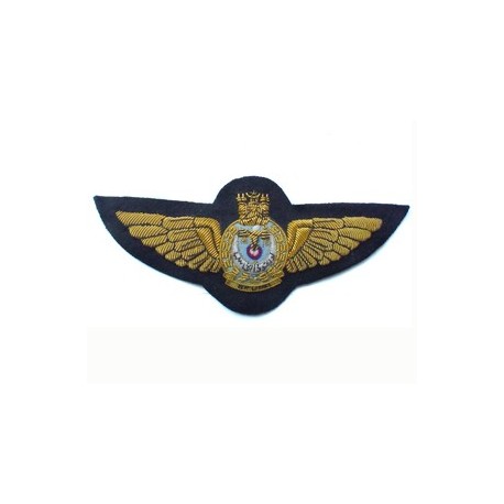 BRUNEI AIR FORCE FULL SIZE WINGS