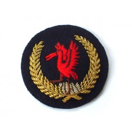 Trinidad and Tobago Colour Sergeant Arm Badge
